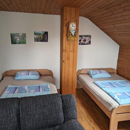 Apartment Bee Near Bled Zabreznica Zewnętrze zdjęcie