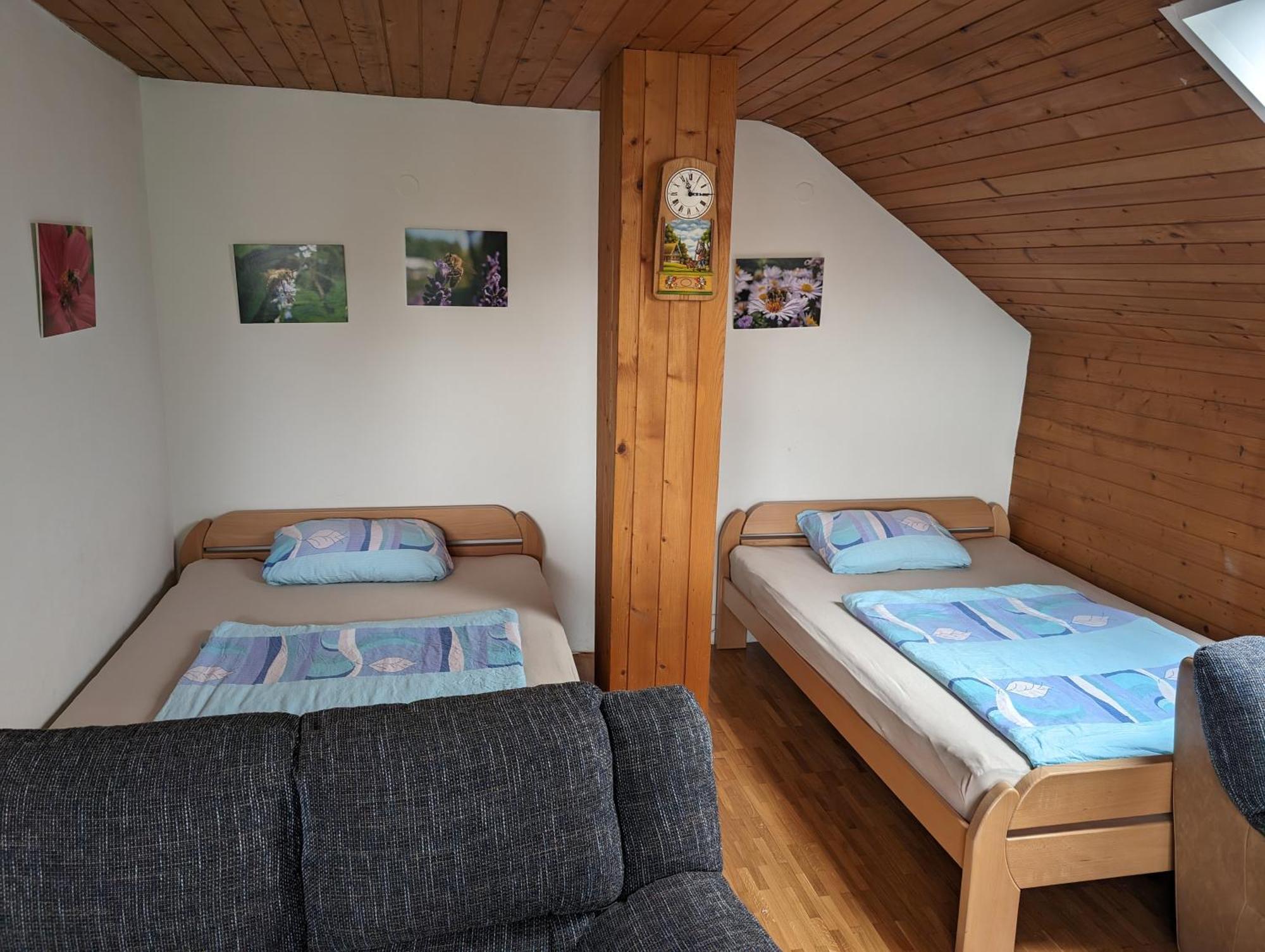 Apartment Bee Near Bled Zabreznica Zewnętrze zdjęcie
